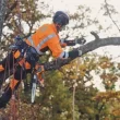 Husqvarna T535i XP® (tool only)