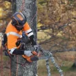 Husqvarna T525