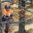 Husqvarna T435