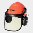 ECHO Chainsaw Safety Kit