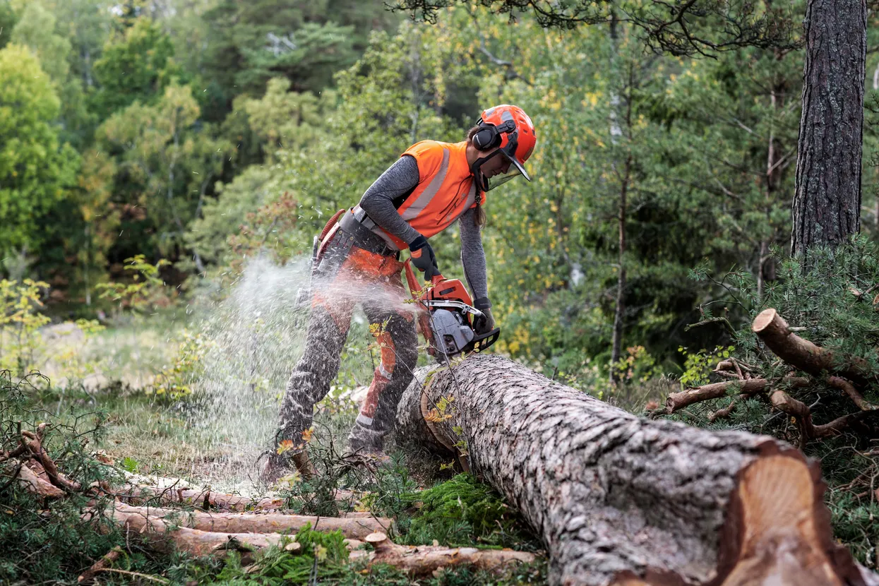 Husqvarna 550 XP® Mark II