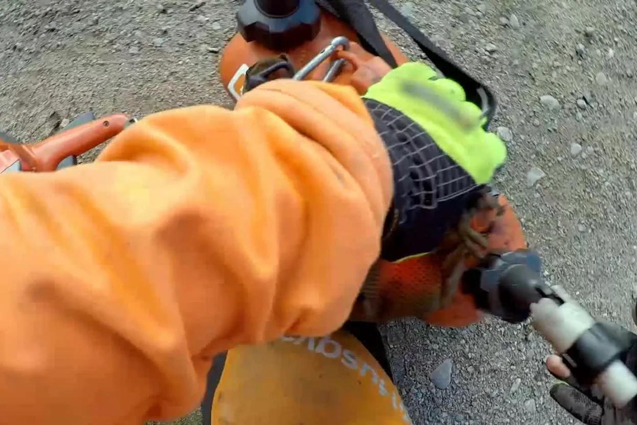 Husqvarna 550 XP® Mark II