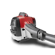 RedMax PSTZ265S Telescopic Pole Saw