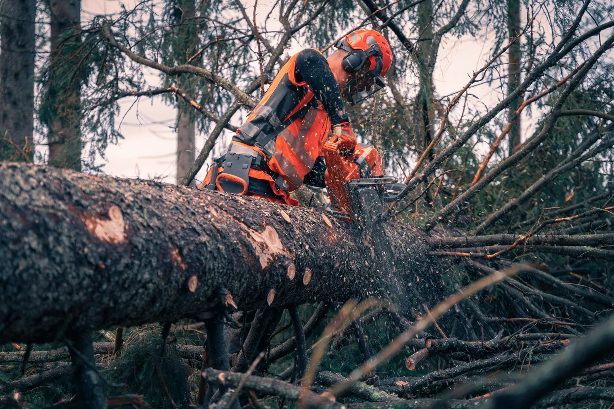 Husqvarna 592 XP® G